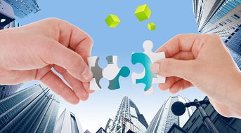 帝納國(guó)際與一冶集團(tuán)達(dá)成戰(zhàn)略合作協(xié)議 開啟2018電子商務(wù)全新征程